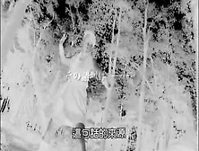 Hot Jap broads show their qualities