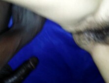 My wife's beautiful hairy pussy and black cock