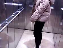 Elevator Swallow