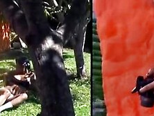 Exotic Japanese Vixen Enjoys Fan Service in Steamy Bathroom Scene