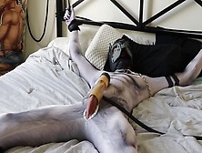 Gay Milking Machine,  Gay Bondage,  Pet Play