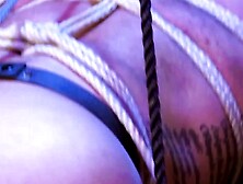 Unbridled Temptation Draven Navarro Surrenders to Jade Venuss Savage Delights