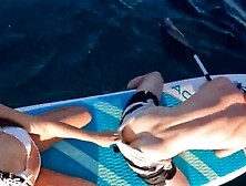 Paddle Board Sex — Ocean Waves & Ideal Booty