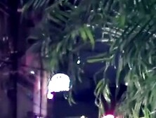 Kates Secret Garden A Carnal Paradise of Lust and Desire