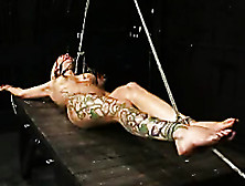 Tattooed Blonde Girl Is Fingerbanged Mercilessly While Vertically Tied Up.