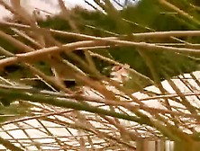 Voyeur Captures A Girl Playing With Herself In The Dunes In Public