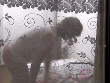 Mature Milf Neighbor Undresses in Window