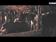 Maeve Jinkings Cows,  Farm scene in Neon Bull (2016)