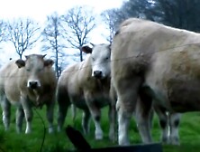 Wild French lady gets her throat filled on a farm