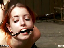 Bound Ginger Slave Mounted On Sybian
