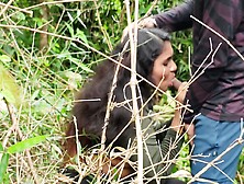 Malayali Couple Hot Outdoor Sex In Forest,  Wild Forest Outdoor Sex Of Malayali Couple