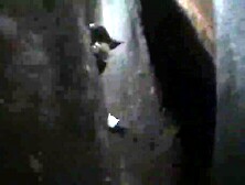 Screwing in the Sequoias Trail of the Giants