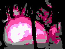 List compilation - freaky things pmv