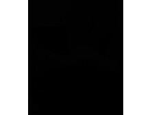 First Time Anal for Teen Slut by Huge Black Cock Thug