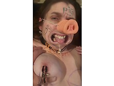 Training Fuckpig Slave