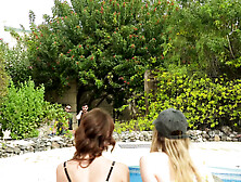 2 Bites for a Vacationer in the Canaries