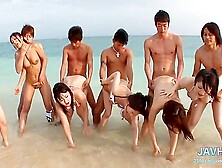 Winning Cocottes Japanese Action