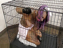 Black Petgirl Ballgagged Caged Hands Taped