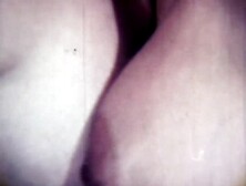 Peacock No. 9 - Big Tit Lez. avi