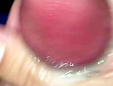 every single day wank 07/thirty - watching porn and dripping lots of precum - wank defiance