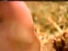 La bella e la bestia (1977) in Russian