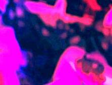 My Slave Lady Likes To Swallow My Perfect Feet