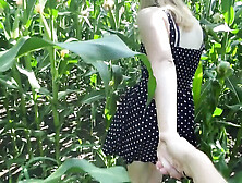SweetAndFlow Outdoor Cornfield Sex - Blonde Teen Big Ass Fuck in Public POV