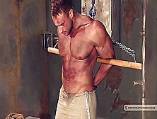 Excellent Sex Video Gay Bdsm Check,  It's Amazing