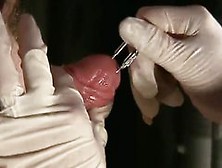 Extrem Shaft And Testicles Torment Cock Ball Torture