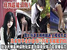 [付费] 女人该如何调教！男人多看多学没有教不会只有不够狠『狠货高科技看简阶』