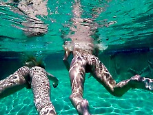 Bimbos Alexis Monroe and Blair Williams share a throbbing shaft