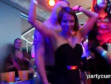 Sexy Sweeties Get Entirely Crazy And Undressed At Hardcore Party