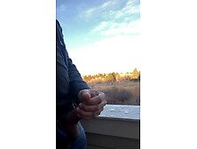 Colorado Pup,  loves to expose cock