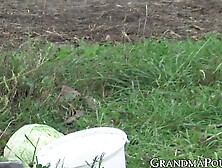 Kinky Granny Sucking Cock Outdoor And Gets Sprayed With Cum