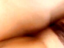 Watch wild hussy's trailer