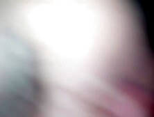 Swedish Amature Porn