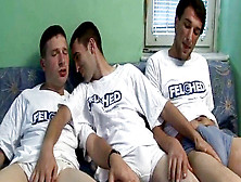 Steamy Three-Way Gay Anal Fuck And Felching