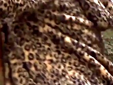 Pissing Japanese Babe - Panties Leakage & Close-Up View