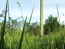 Beatas Grass Activities With Huge Toy