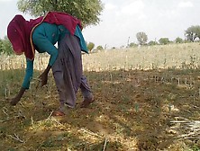 Bahar Khet Me Kam Rahi Ghar Le Ja Ke Salwar Khol Ke Choda