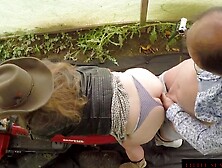 Gardening the most funny way - Little Sunshine cougar