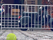 Animation Ashe and Dva Adventures [grand Cupido] ( Overwatch )