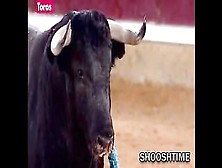 Matador Almost Loses Half His Face To Bull