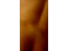 Amateur Porn Pigs 016