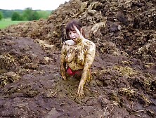 Massive Dung Pile - Masturbating In Cowshit