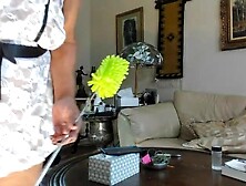 I am a aged wicked Lalin Girl maid with unshaved vagina that needs to clean abode