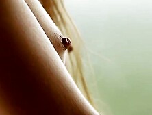 Demi Fray - Smoking HOT Brunette Striptease & Masturbation in HD