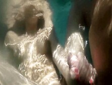 WORLD BEST CREAMPIE COLLECTION (GOLD)