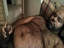 Hot Bear Cum