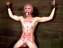 Bdsm Sub Sarah Jane Ceylon On Sybian